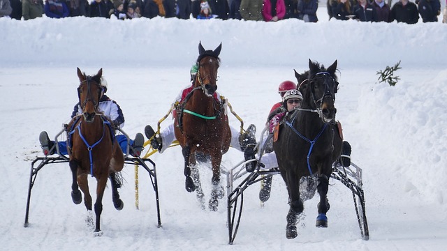 篮球CBA球员三分命中率创新高