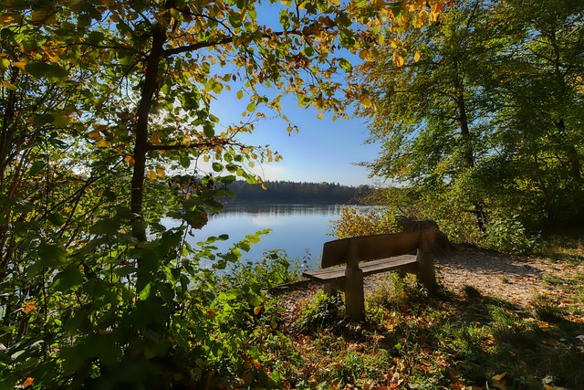 灰熊vs快船伤情：莫兰特继续缺席&埃迪可出战，博格丹缺席